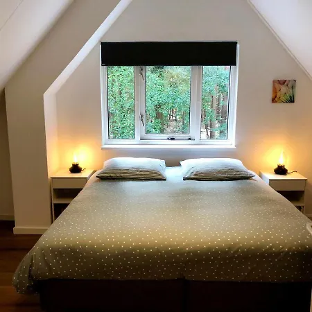 Boshuisje Grenzend Aan Het Bos. Holiday home Lochem