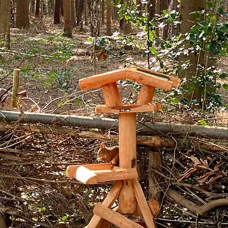 Boshuisje Grenzend Aan Het Bos. Vakantiehuis Lochem