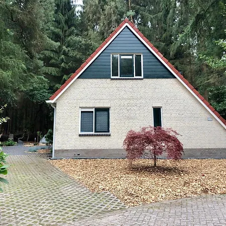 Boshuisje Grenzend Aan Het Bos. Lochem