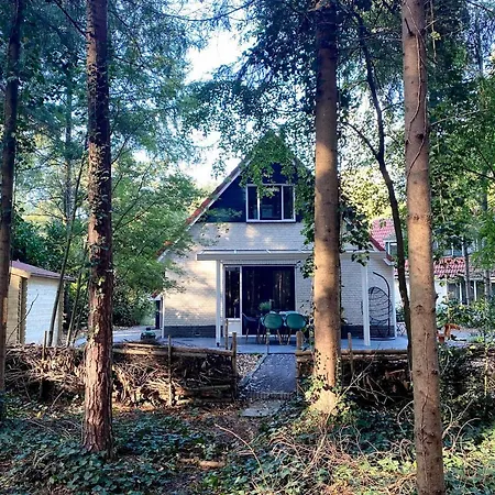 Vakantiehuis Boshuisje Grenzend Aan Het Bos. *