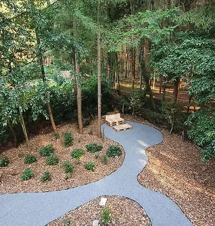 Boshuisje Grenzend Aan Het Bos. Vakantiehuis